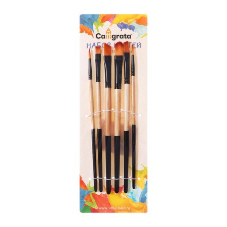 Set of brushes nylon 6 pieces: 2 round, 4 flat-3