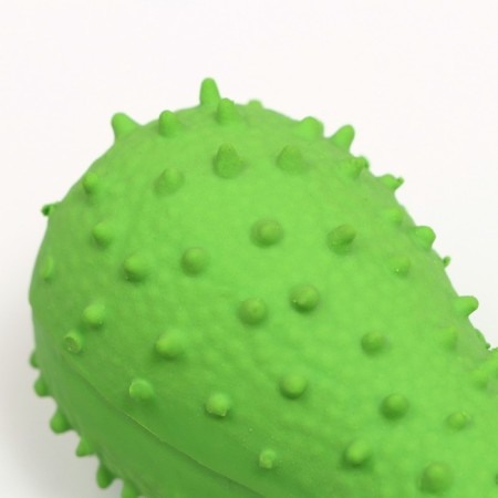 BOOVE BOOSE for dogs from latex "bone", 12 cm, green-2
