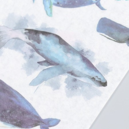 Stickers "Paring Whales" set 3 sheets 10x20 cm-1