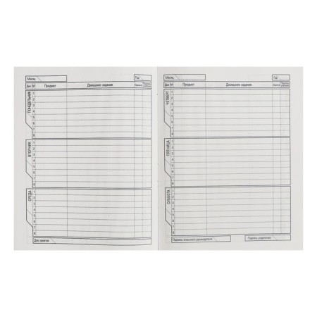 Universal diary for grade 1-11, Level Up, solid cover, metallic, selective varnish, 40 sheets-4