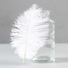 Feather of ostrich 15-20 cm, white