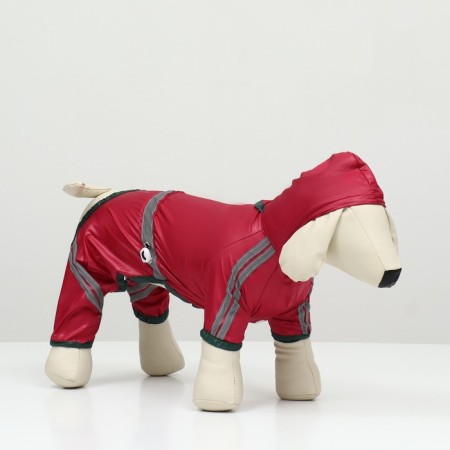 Combiason for dogs, demi-season, size M (DS 25-27, OG 35-37, Osh 27-29 cm), red-1