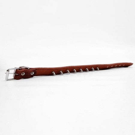 Leather collar "strict spike", 70 x 3.5 cm, Osh 45-60 cm, brown-4