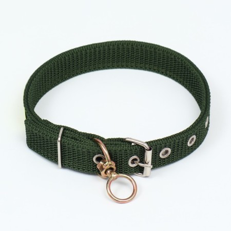 Two -layer collar with a swivel, 3 cm, green-1