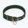 Two -layer collar with a swivel, 3 cm, green