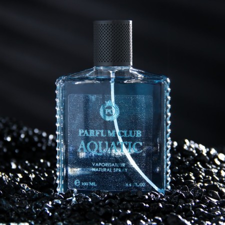 Men's toilet water Parfum Club Aquatic, 100 ml (based on Acqua Di Gio (G.armani)-1