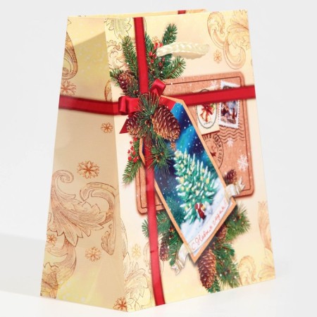 Laminated vertical package “Happy New Year!”, S 11.5 x 14.5 x 5.5 cm, New Year-1