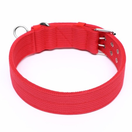 Four-layer collar with a swivel, 80 x 4.9 cm, Osh 64-74 cm, polyester, red-1