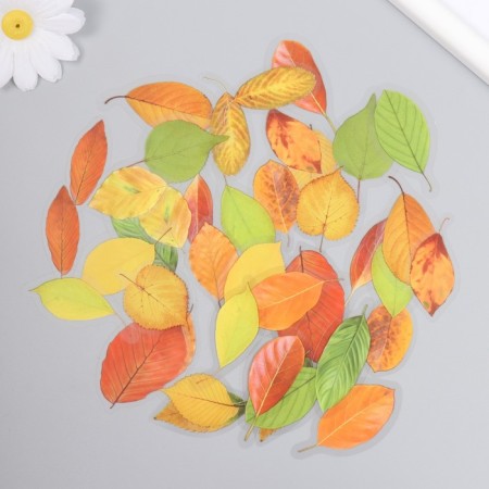 Stickers for creativity plastic "Autumn leaves" set 40 pcs 0.3x8x14.8 cm