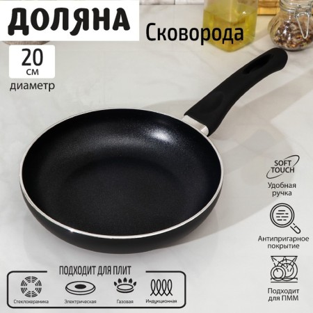 Field frying pan Basic, D = 20 cm, plastic handle, anti -stick coating, induction, black color