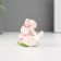 Polystone pigeons on a book in a pink wreath 4*6 cm