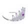 Crown "Princess"