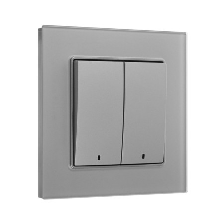 Tot Matte Glass switch, 10 a, 2 cl., With backlight, hidden, glass, silver-1