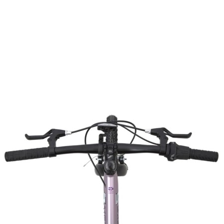 Bicycle 20 ’’ maxiscoo 5bike, pink sapphire color, size L-5