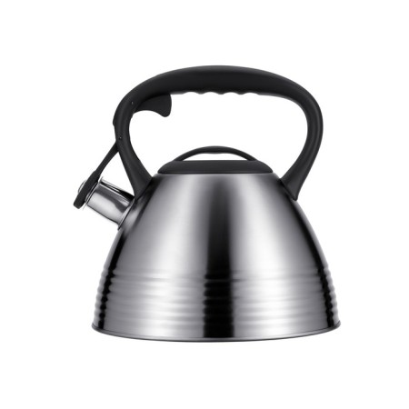 Teapot Regent Inox Tea, with a whistle, 3 l + a titting gift for brewing tea-4