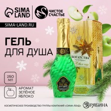 Soul gel “Wealth and success in the New Year”, 250 ml, aroma of green apple, pure happiness