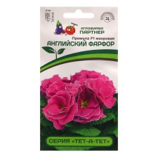 Flower seeds of primrose 