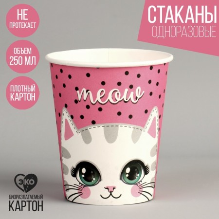 A single -single paper glass "Cute cat", 250 ml