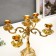 Summary Metal for 5 candles "Roses. White enamel" Color gold 32x30x30 cm
