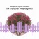 Decorative fence, 25 × 170 cm, 5 sections, plastic, lilac, "wonderful garden"