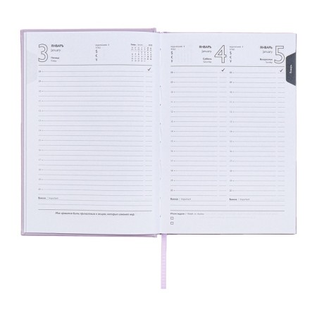 Dated 2025 diary, A5, 176 sheets of Escalada, a solid cover of artificial leather with foam rubber, pancake embossing, liesse, block 70 g/m2, lilac-11