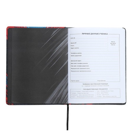 Universal Diary Grade 1-11, 48 sheets "Supercar", solid cover of artificial leather, lies, universal cheat sheet, block 80 g/m2-3