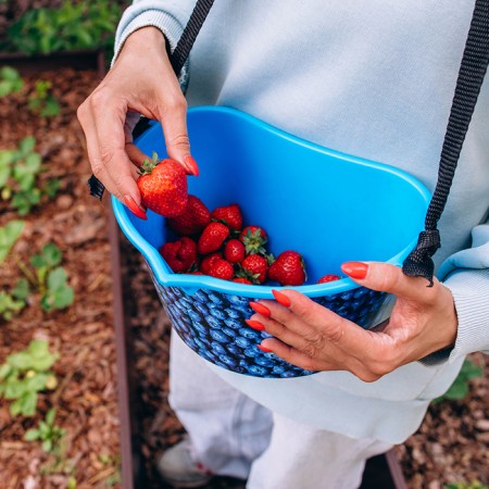 Container for collecting berries, 3 l, “blueberries”, blue-10
