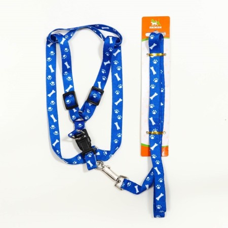 Kapon "Bones and Paws" kit, leash 120 x 1.5 cm, og 30-44 cm, blue-6