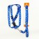 Kapon "Bones and Paws" kit, leash 120 x 1.5 cm, og 30-44 cm, blue