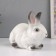 Figure "Rabbit No. 1 White with black tips" Height 14 cm, width 10 cm, length 18 cm.