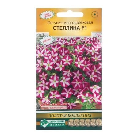Flowers of petunia multi -flowered "Stellin", 5 pcs