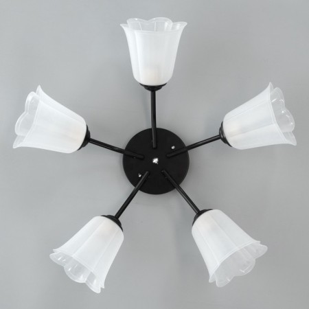 Causte "Online" (Flower) 5x15W E27 Model: BR 00242 Black/Transparent-3