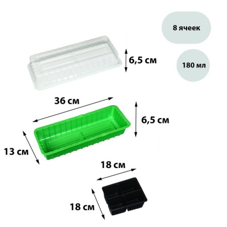 Mini-Pirate for seedlings, 40 × 16 × 13 cm, 2 inserts, 8 cells, green, Greengo