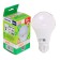 LED LED JAZZWAY, A60, E27, 11 W, 880 LM, 4000 K, PLED-ECO