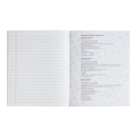 Subject note Calligrata Top "School style", 48 sheets in the line Russian, with reference material, plastic cover, offset unit-4