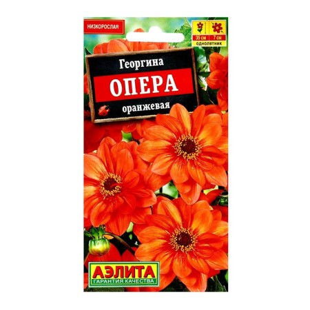 Georgin's flowers "Opera" Orange, c/n 7 pcs