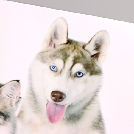 Stick 3D Interior pets 50*40cm-2