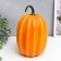Polystone souvenir "Vitamin pumpkin" 23x15x15 cm