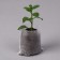 Package for seedlings, 360 ml, 7 × 9.5 cm, spanbond density 25 g/m², Greengo