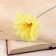 Artificial flowers "Loner Chrisp" D-11 cm H-20 cm, yellow