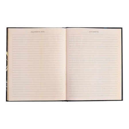 Diary for a music school, 48 sheets, hard cover, matte lamination, foil embossing, reference information, block 60g/m2-10