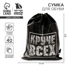 A bag for shoes 