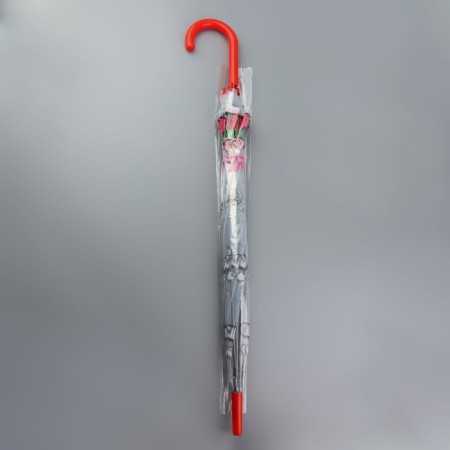 Umbrella - a semi -automatic cane "Seasons", 8 spokes, r = 40 cm, color mix-4