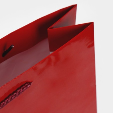 Laminated vertical packet "C NG", L 28 x 38 x 9 cm, New Year-5