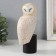 Souvenir Polystone "Owl - the ordinary of the siphu - under the wing" Sand 7.2x7.2x23.8 cm