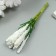 Decor for creativity "Ivan Tea" 1 bouquet = 10 white flowers 1.5x14 cm