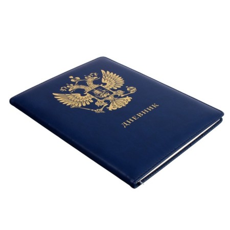 Universal diary for grades 1-11, hard cover, artificial leather, foil embossing, lies, 48 ​​sheets-10