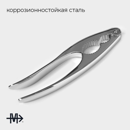 Magistro volt walnut, stainless steel-1