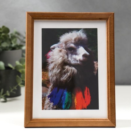 Photo frame 15x20 cm (7N68) Walnut (plastic screen)-1