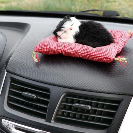 Toy on a car panel, a cat on a pillow, black and white color-1